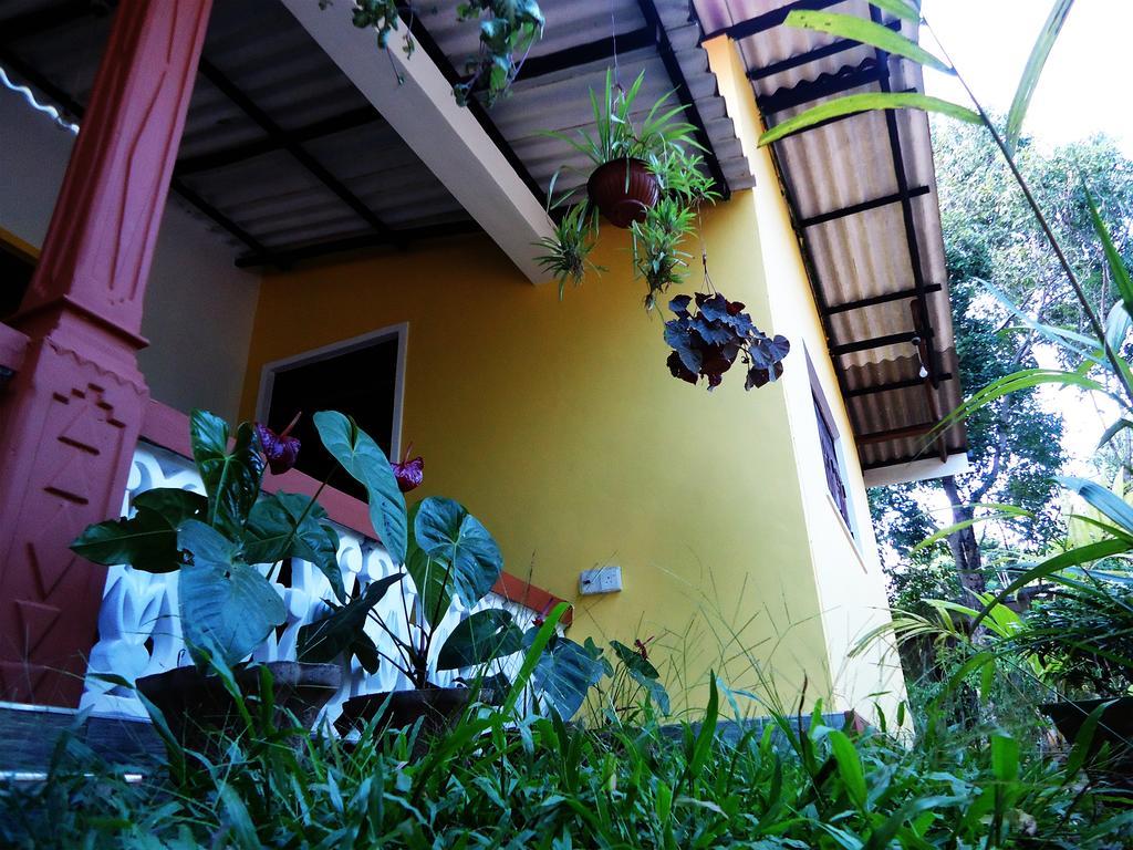 Sigiri Sithru Home Stay Sigiriya Ngoại thất bức ảnh